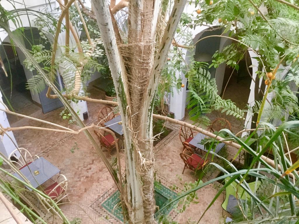 马拉喀什 Dar Binebine酒店 外观 照片